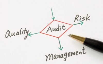 Avoiding Audit Risks: Internal Controls for Government Contractors