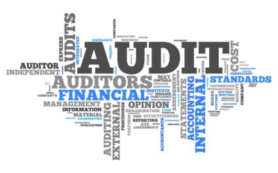 Minimizing Audit Risks: Essential Internal Controls for Government Contractors