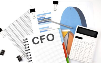The Financial Benefits of Outsourcing: How Virtual CFO Services Save Time and Money